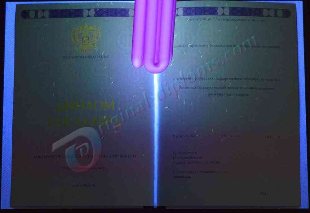 Диплом бакалавра 2014-2026